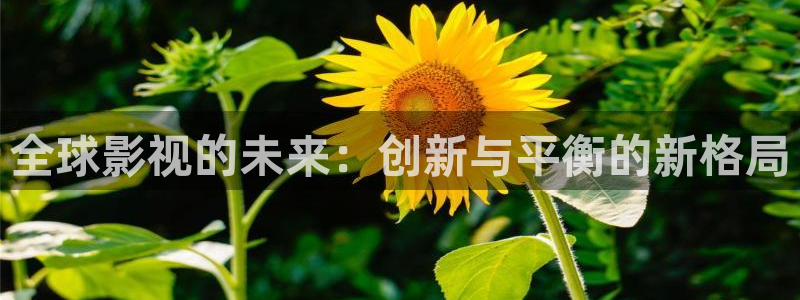 秋霞高清理論在線：全球影視的未來：創(chuàng)新與平衡的新格局